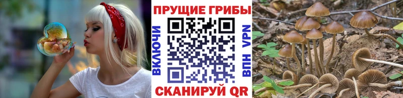 Галлюциногенные грибы ЛСД  Заречный 